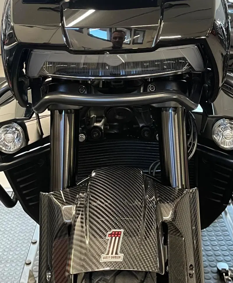 Harley-Davidson Pan America 1250 Special (2020 - 25) (16)