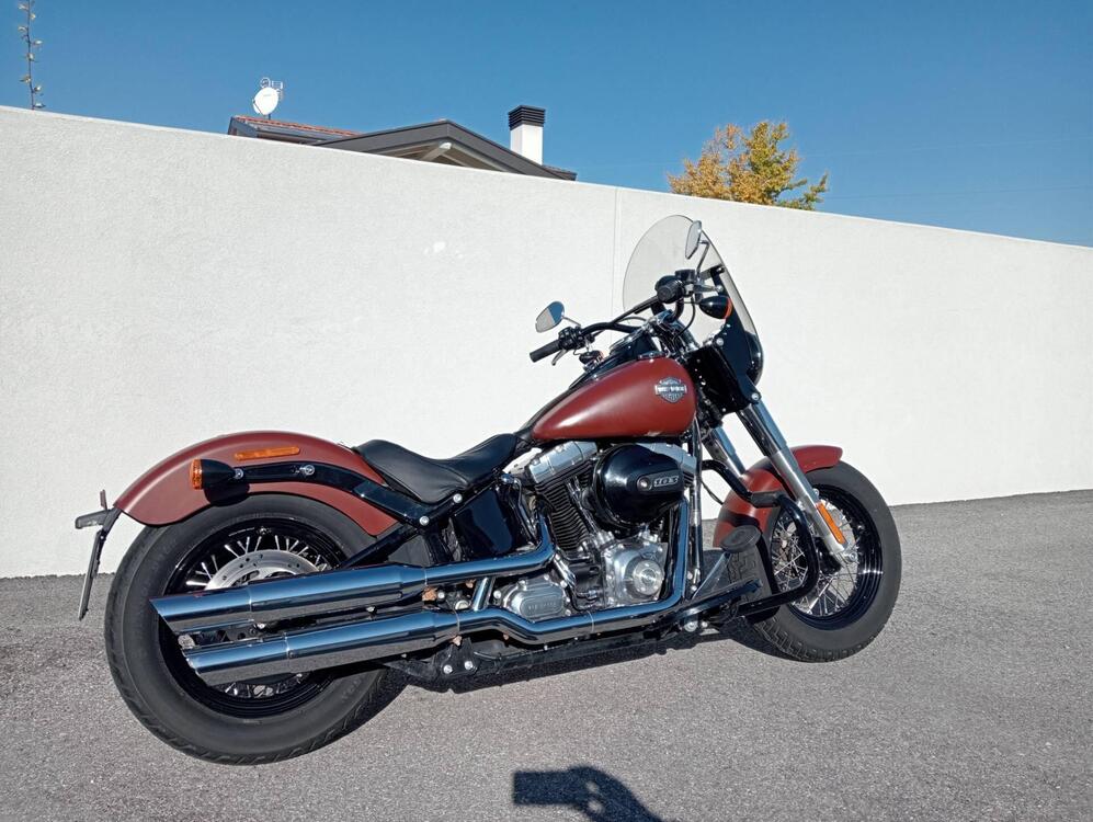 Harley-Davidson 1690 Slim (2017) - FLS (5)
