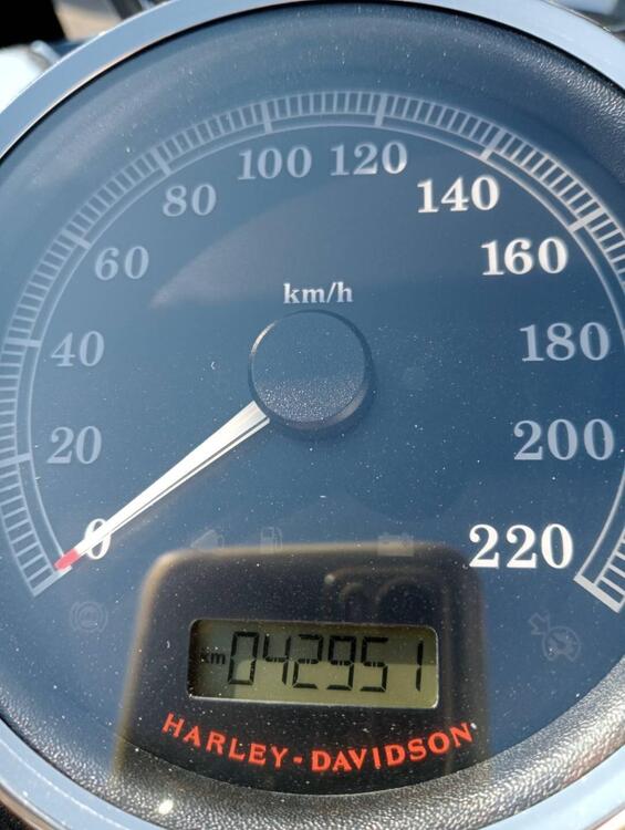 Harley-Davidson 1690 Slim (2017) - FLS (3)