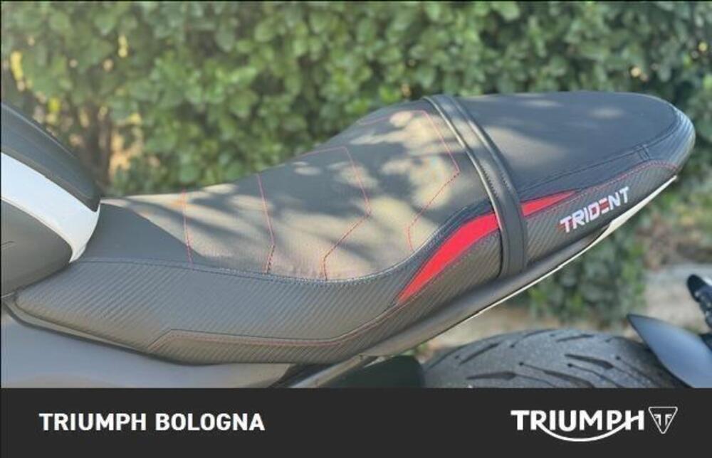Triumph Trident 660 (2021 - 24) (4)