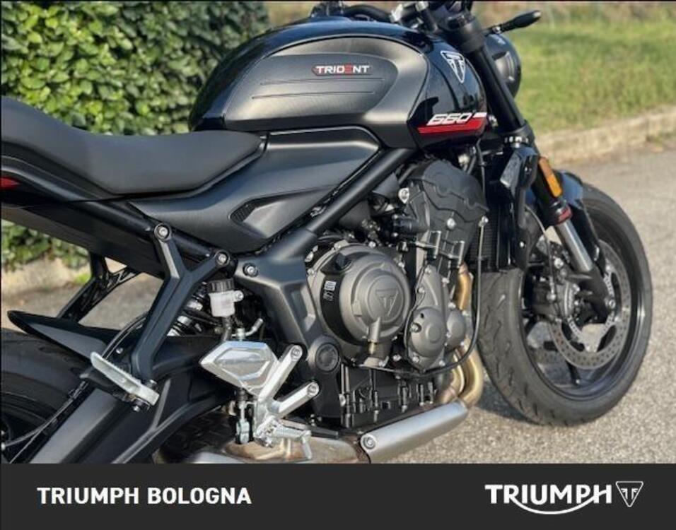 Triumph Trident 660 (2025) (5)