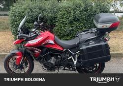 Triumph Tiger 900 GT (2020 - 23) usata