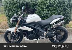 Triumph Speed Triple 1050 (2011 - 13) usata