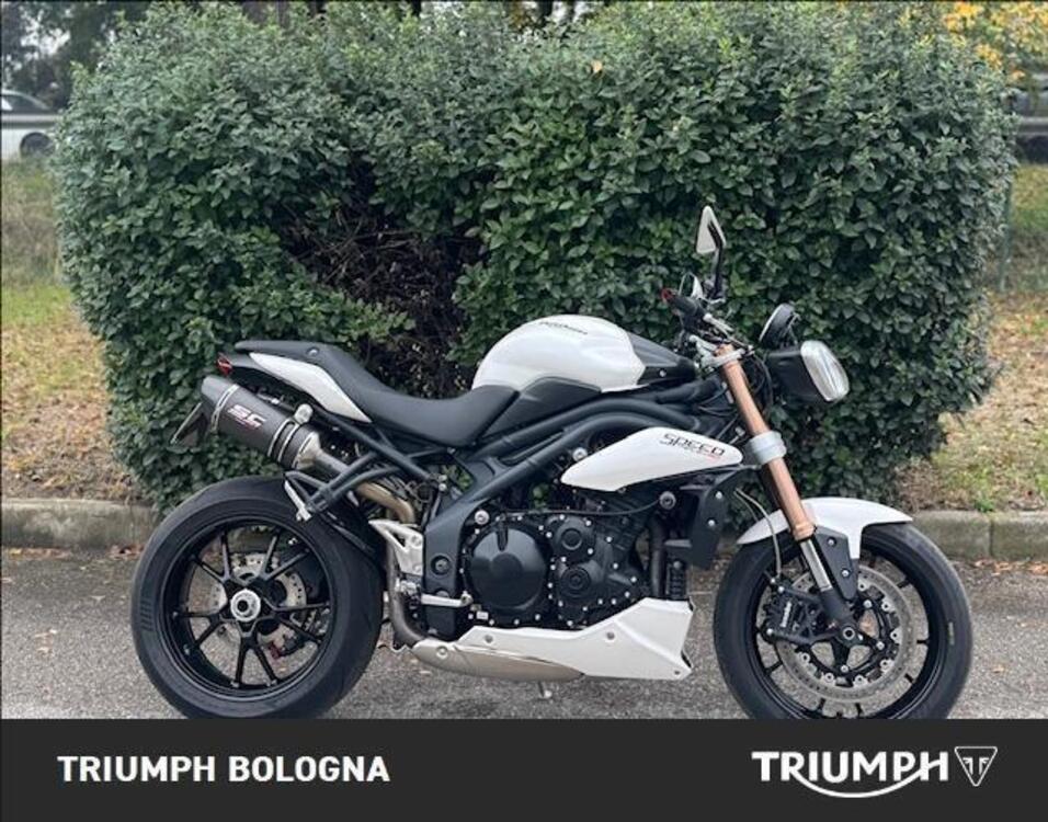 Triumph Speed Triple 1050 (2011 - 13) (2)