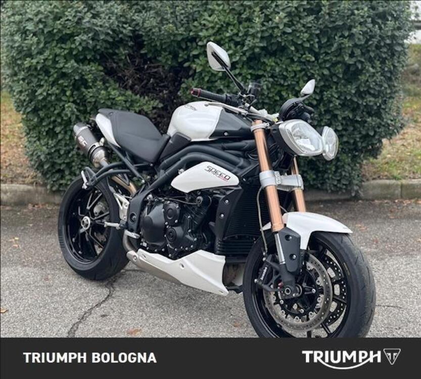 Triumph Speed Triple 1050 (2011 - 13) (3)
