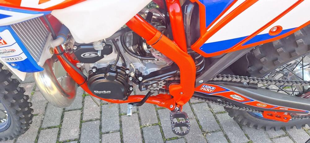 Betamotor RX 300 2T (2024 - 25) (4)