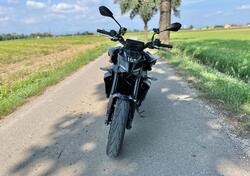 Yamaha MT-09 (2024 - 25) usata