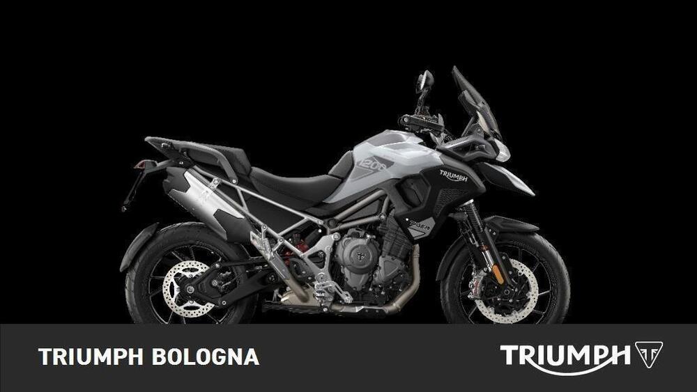 Triumph Tiger 1200 GT Pro (2024 - 25) (4)