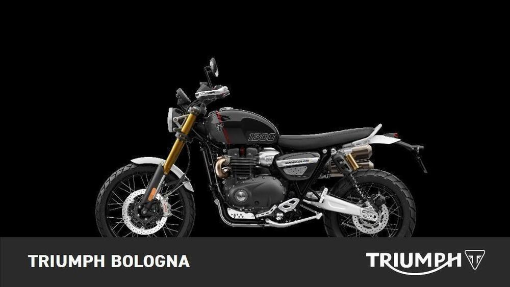 Triumph Scrambler 1200 XE (2024 - 25) (3)