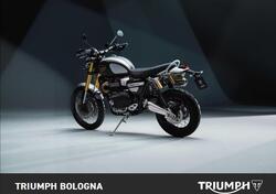 Triumph Scrambler 1200 XE (2024 - 25) nuova