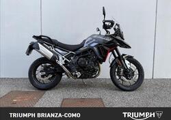 Triumph Tiger 900 GT (2024 - 25) usata