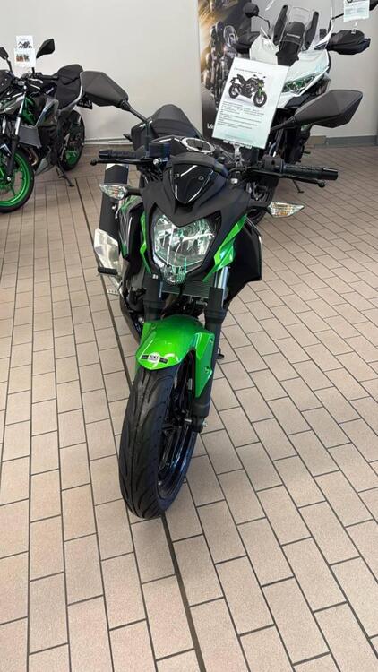 Kawasaki Z 125 (2021 - 24) (3)