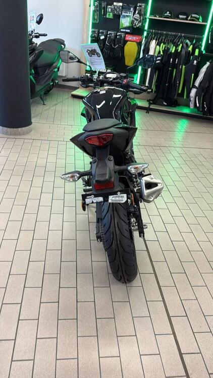 Kawasaki Z 125 (2021 - 24) (4)