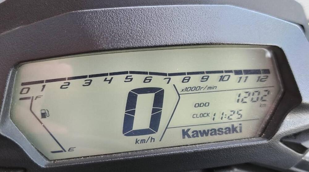 Kawasaki Ninja 125 (2021 - 24) (3)