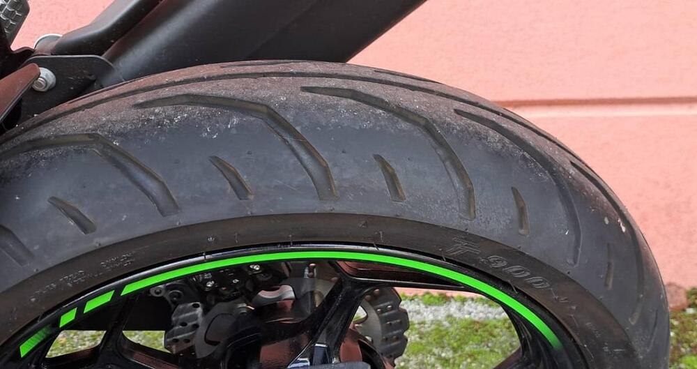 Kawasaki Ninja 125 (2021 - 24) (5)