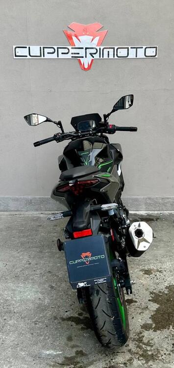 Kawasaki Z 500 SE (2024 - 26) (4)