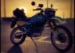 Yamaha XT 600 Z Ténéré (34L) d'epoca