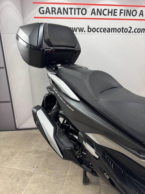 Honda Forza 350 Deluxe (2022 - 24) (3)