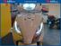 TVS Motor Jupiter 125 (2024 - 25) (14)