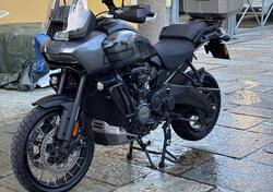 Harley-Davidson Pan America 1250 Special (2020 - 25) usata