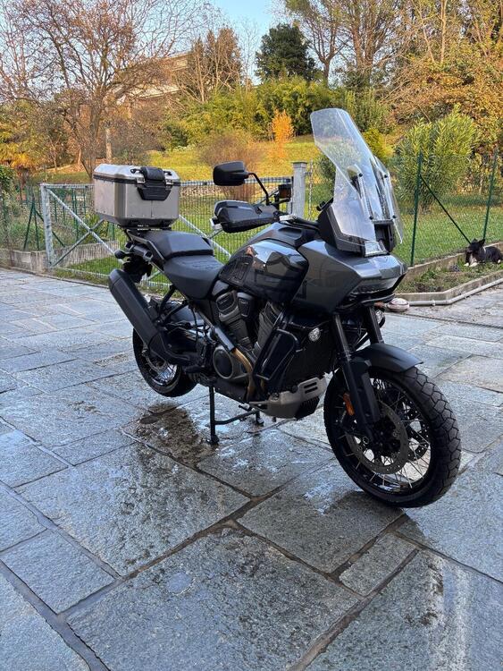 Harley-Davidson Pan America 1250 Special (2020 - 25) (3)