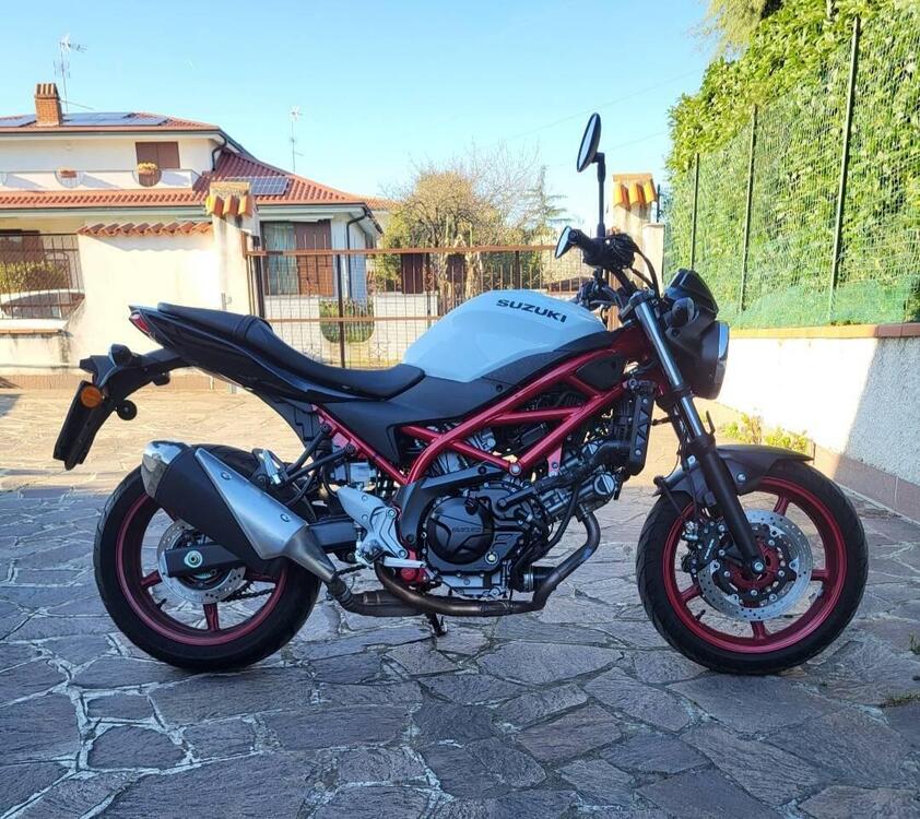 Suzuki SV650 (2021 - 24)