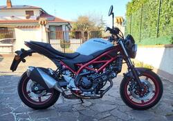 Suzuki SV650 (2021 - 24) usata