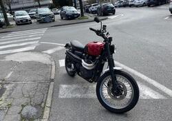 Triumph Scrambler (2006 - 17) usata