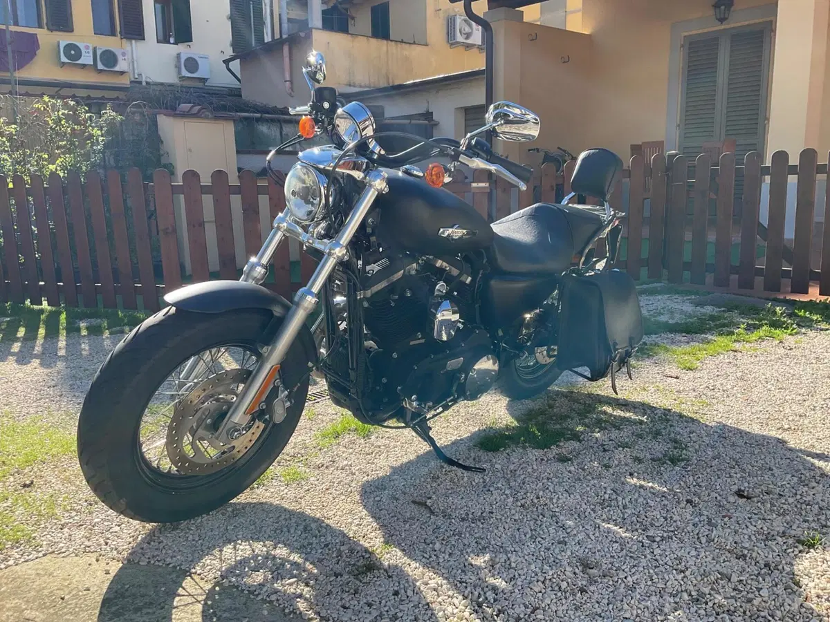 Harley-Davidson 1200 Custom CB (2013 - 17) - XL 1200CB