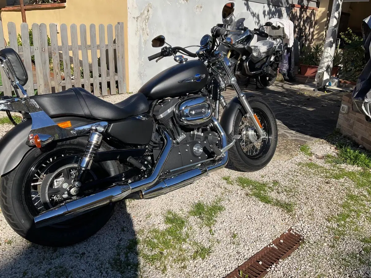 Harley-Davidson 1200 Custom CB (2013 - 17) - XL 1200CB (7)