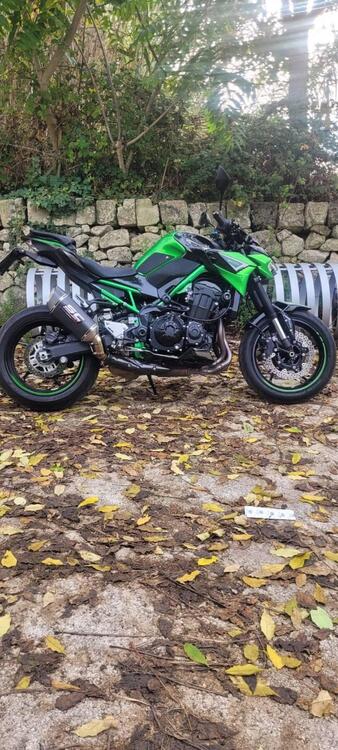 Kawasaki Z 900 A2 (2021 - 24) (3)