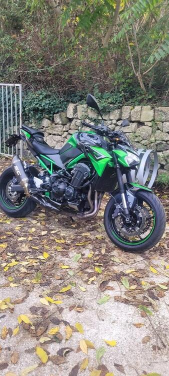 Kawasaki Z 900 A2 (2021 - 24) (4)