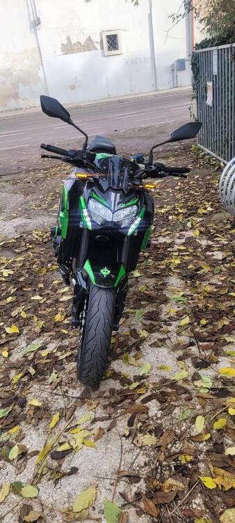 Kawasaki Z 900 A2 (2021 - 24)