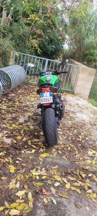 Kawasaki Z 900 A2 (2021 - 24) (5)
