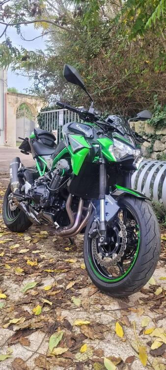 Kawasaki Z 900 A2 (2021 - 24) (2)