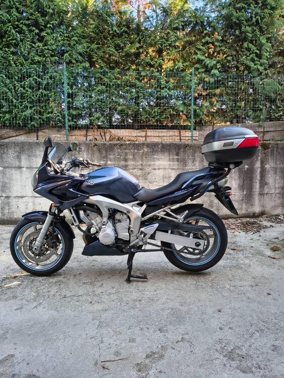 Yamaha FZ6 Fazer (2004 - 07)