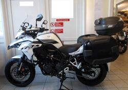 Benelli TRK 502X (2020) usata