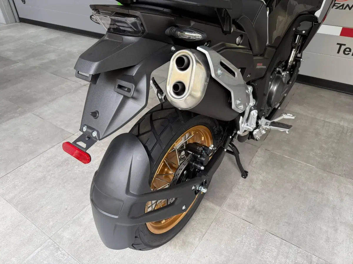 Cyclone RX600 (2025 - 26) (20)