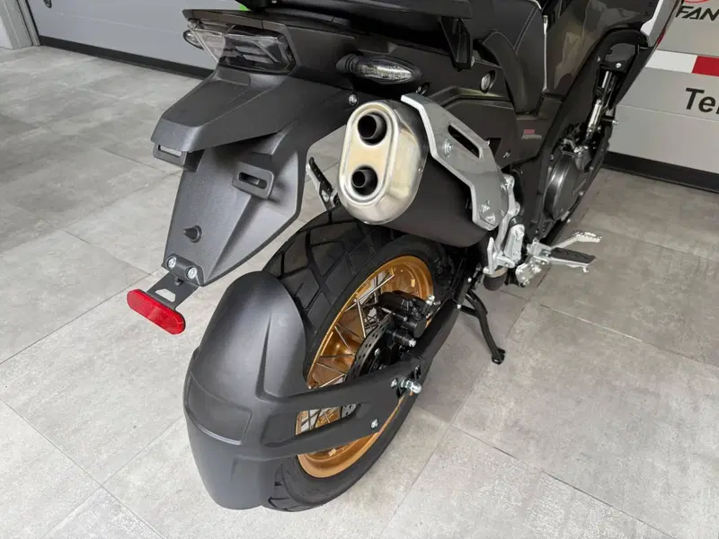 Cyclone RX600 (2025 - 26) (20)