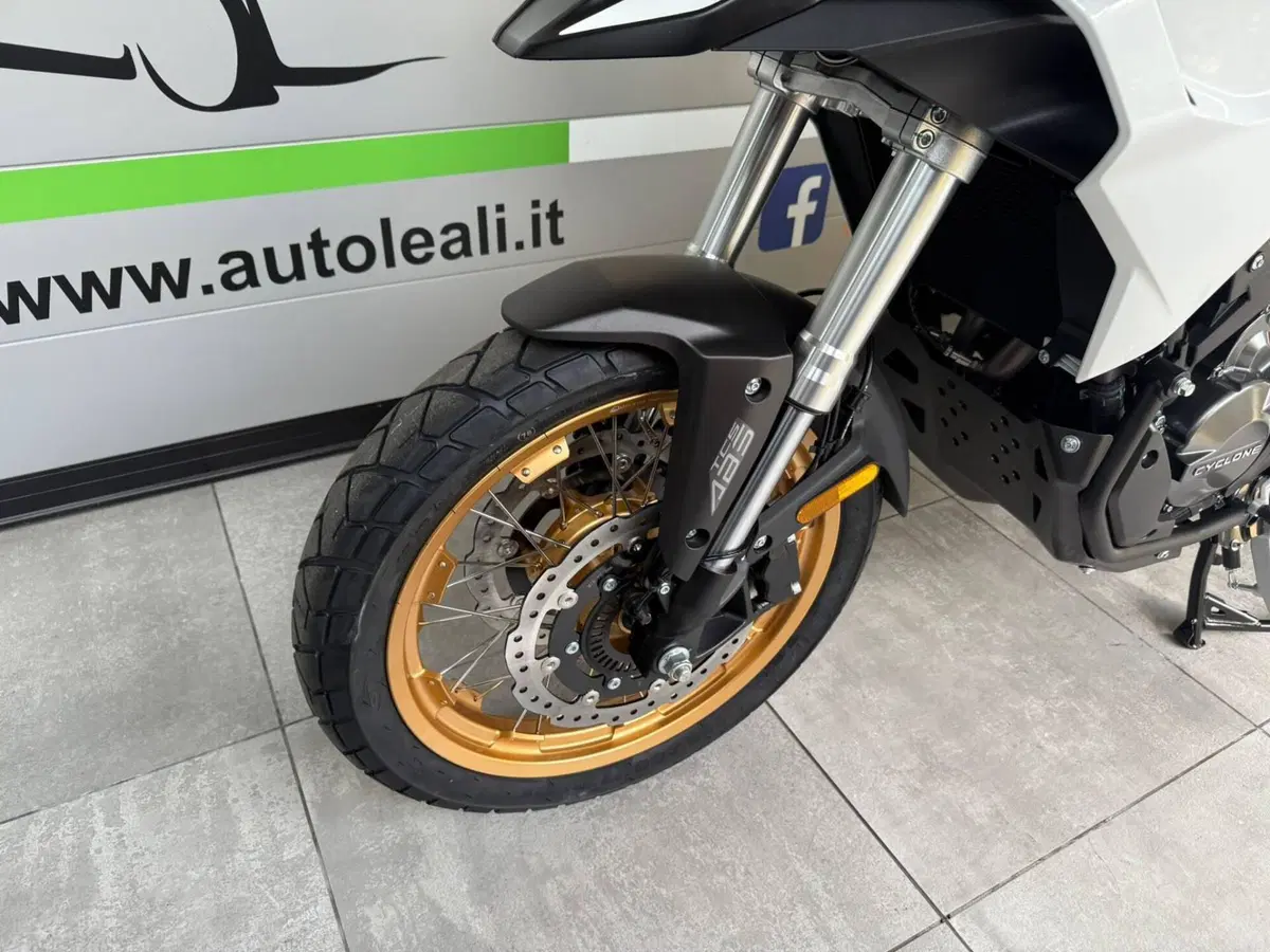 Cyclone RX600 (2025 - 26) (4)