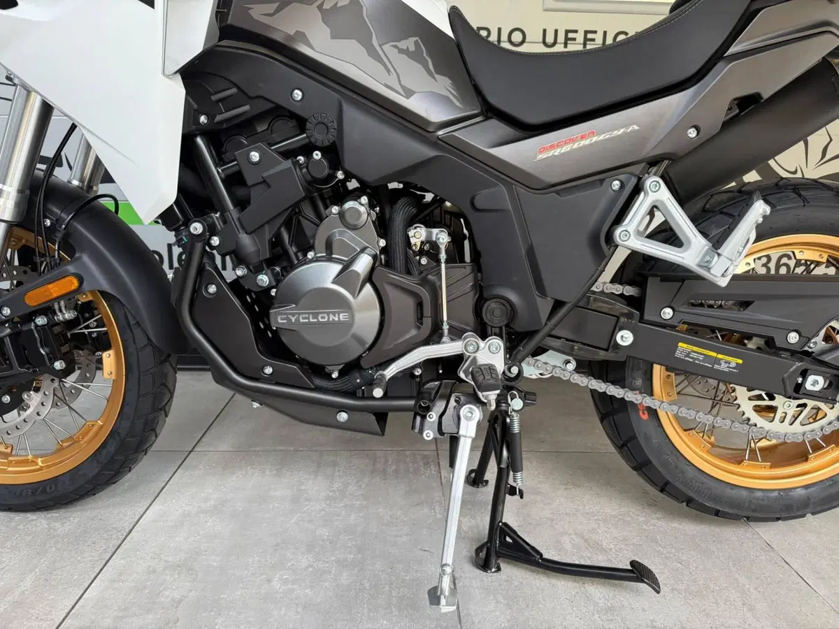 Cyclone RX600 (2025 - 26) (5)
