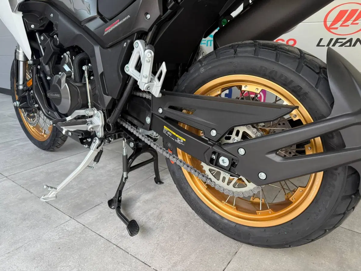 Cyclone RX600 (2025 - 26) (6)