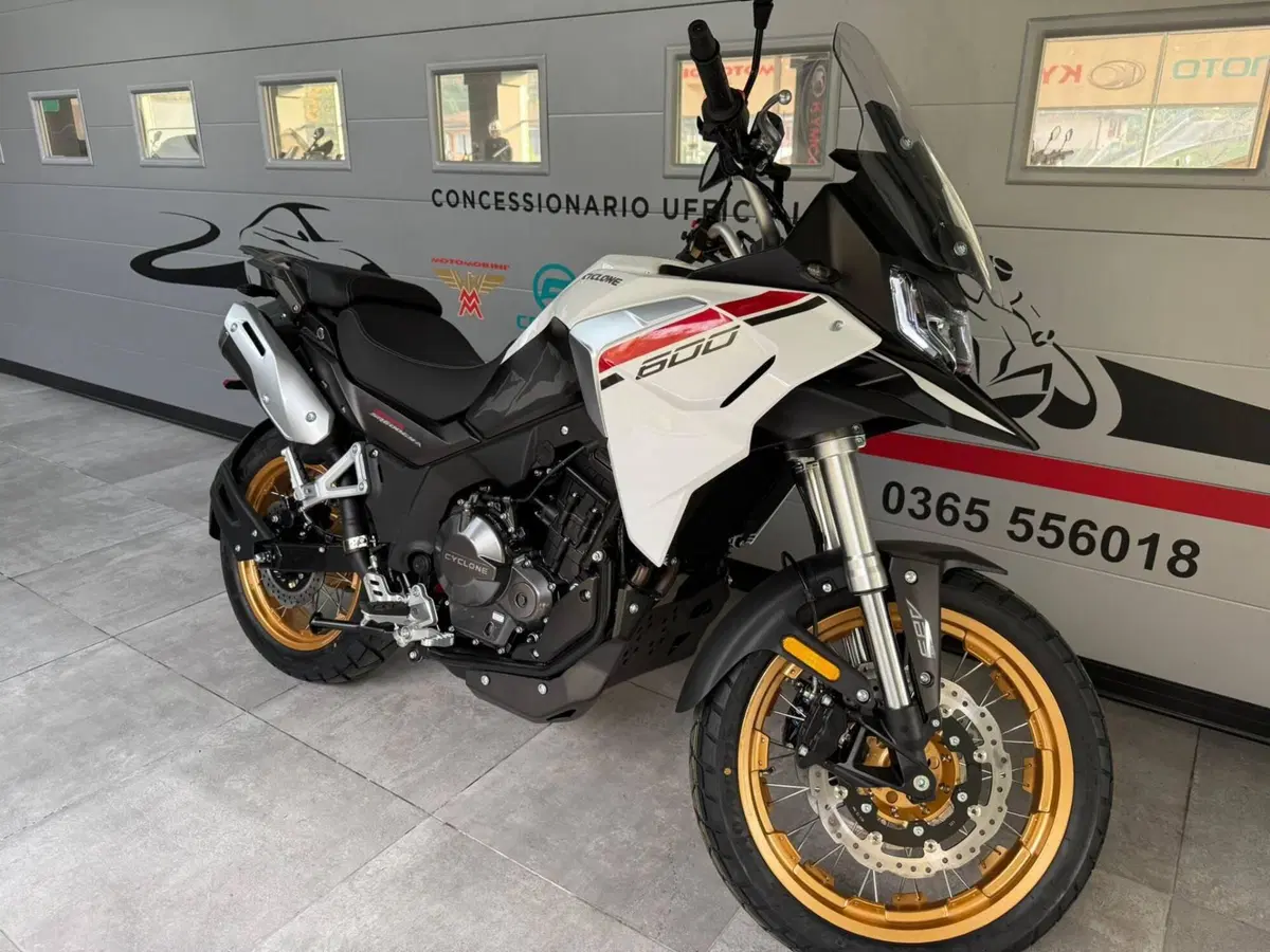 Cyclone RX600 (2025 - 26) (9)