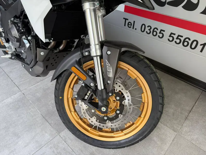 Cyclone RX600 (2025 - 26) (10)