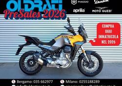 Moto Guzzi Stelvio (2024 - 25) usata