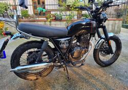 Brixton Motorcycles Cromwell 250 (2021 - 25) usata