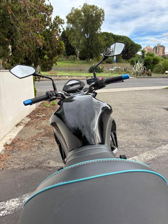 Kawasaki ER-6N (2009 - 11) (5)