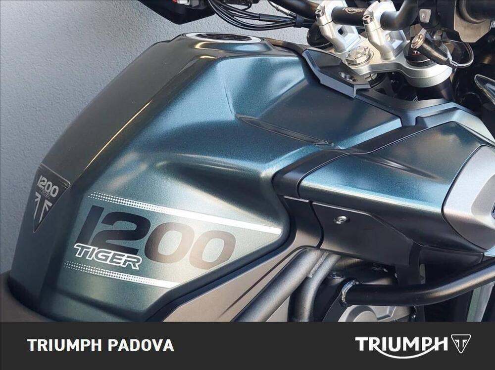 Triumph Tiger 1200 XCa (2018 - 20) (4)