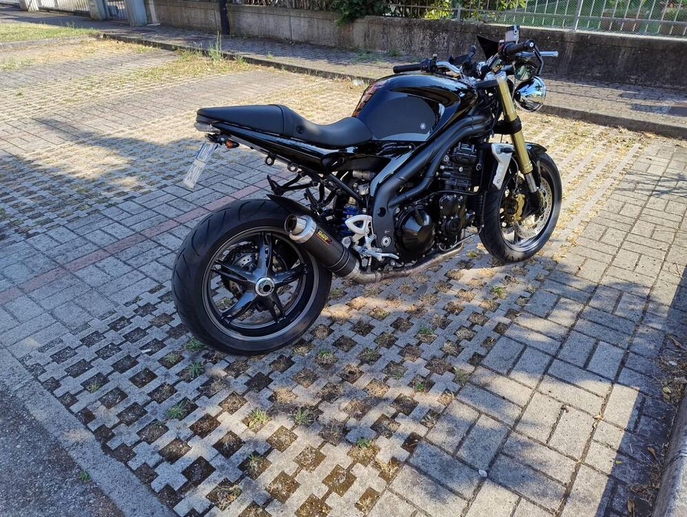 Triumph Speed Triple 1050 (2005 - 11) (2)