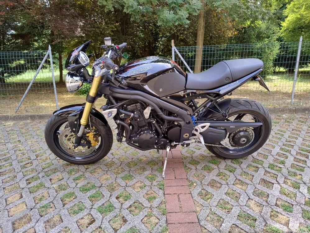 Triumph Speed Triple 1050 (2005 - 11) (3)
